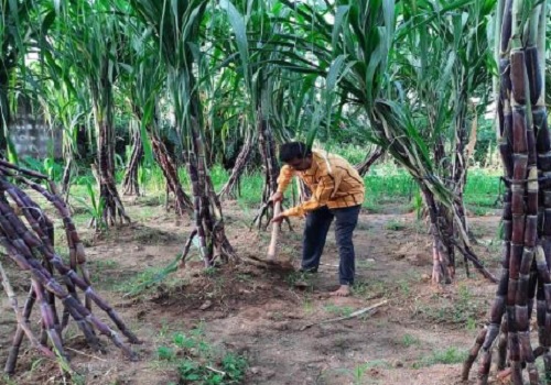कृषि तकनीक ने बदली जिन्दगी: खेत खलयान